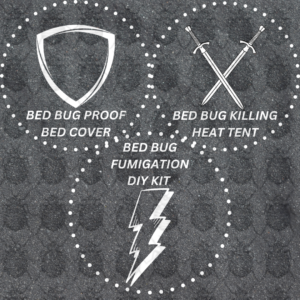 When Can I Put Clothes Back After Bed Bug Treatment?